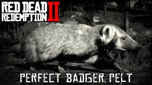 Posted on 3 noviembre 2020 by leave a comment on rdr2 morgan horse posted in sin categoría. Red Dead Redemption 2 Perfect Skunk Pelt Youtube