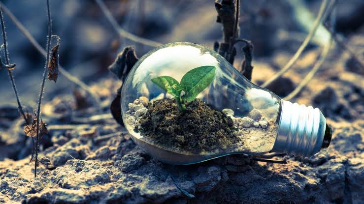 Technology and the environment.