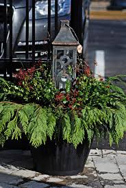 Check spelling or type a new query. Make A Holiday Container Garden Christmas Urns Christmas Planters Christmas Pots