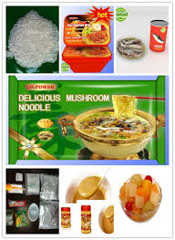Is octopus halal sunni / spotlight halal food info for muslims haram animals : Tuna Fish Halal Is Tuna Fish Halaal Or Haraam