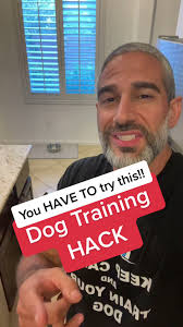 Effective Dog Training Hacks for Barking and Jumping Dogs