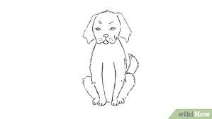 They are the second most popular dogs in usa and 4th most popular in united kingdom. 4 Ways To Draw A Puppy Wikihow