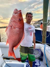 Large boats and fancy equipment are not required to catch them. Fwc Announces Fall Recreational Red Snapper Season In The Gulf