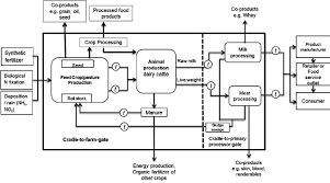 System Boundary Proposed For The Life Cycle Of Dairy Cattle Covering Download Scientific Diagram