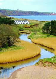View from Red Castle at Lunan Bay
