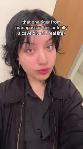 Madagascar Cave Diver: Behind the Scenes of Adventure