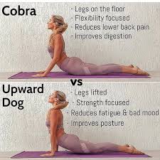 Doyouyoga Com On Instagram Day 11 Of Doyougetbacktobasics We Re Practicing Cobrapose Or Bhujangasana Feel Easy Yoga Workouts Yoga Fitness Yoga Asanas