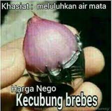 Gambar kucing lucu yang sedang berdoa, kasih makan ucing yang enak ya allah, hehe. Setelah Sudah Kuduga Batu Akik Juga Ikutan Jadi Tren Meme Lho