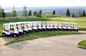 Golf car services is a leader in golf cart sales in seattle, wa. Golf Cart Brands We List The Top 5 Brands Of Today Golf Carts For Sale