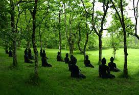 Plum Village A Perfect Mindful Retreat For Families Mindful Necessities The plum village, where the retreat took place, is located between bordeaux and bergerac, and was created by a vietnamese buddhist, thich nhat hanh. plum village a perfect mindful