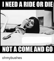 Why does this cat look like me? 24 Ride Or Die Meme That Make You Laugh Picss Mine