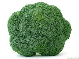 How To Grow Broccoli Indoors In Containers Growing Broccoli Growing Vegetables Indoors Growing Tomatoes In Containers