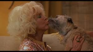We did not find results for: There S Somethin About Mary Dog Licks Face Eewww Youtube