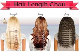 Hair Length Chart A Little Motivation And Understanding