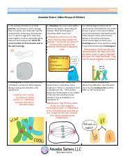 The results for meiosis packet answer key. Meiosis Recap 2 Pdf Meiosis Amoeba Sisters Video Recap Amoeba Sisters Video Recap Of Meiosis 1 The Purpose Of Meiosis Is To Make Gametes Also Known As Course Hero