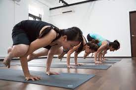 Sometimes also called power vinyasa, core power yoga is considered by many as a westernized style of ashtanga yoga. Art Of Yoga Vinyasa Flow Ii Vinyasa Yoga Power Yoga Classes