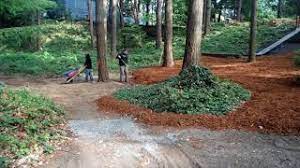 Check spelling or type a new query. Landscaping Ideas For Wooded Area Youtube