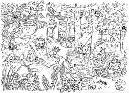 Herbst Suchbild Google Suche Ausmalen Fur Kinder Malvorlagen Fur Kinder Herbst Ausmalvorlagen