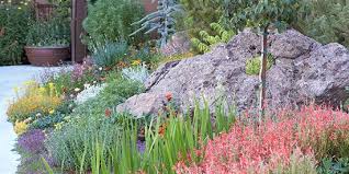 How to xeriscape front yard. Xeriscaping Better Homes Gardens