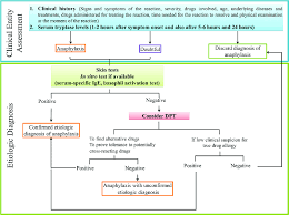 Recommended Practice Flowchart For Allergy Diagnostic Work