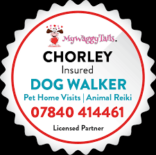Lots of little fluffy animals plus tortoises, lizards and snakes (fascinating). Chorley My Waggy Tails