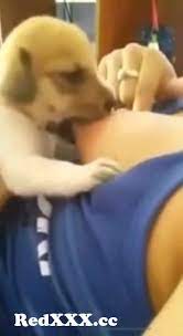 Breastfeeding puppies porn