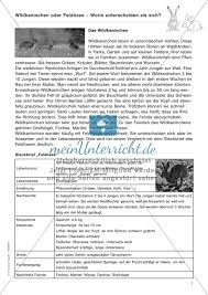 Pin On Worksheets Gallery