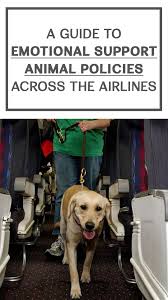 A Complete Guide To Airline Policy On Emotional Support Animals Emotional Support Animal Support Animal Emotional Support