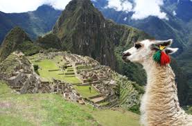 In the summer of 1911 the american archaeologist hiram bingham arrived in peru with a small team of explorers hoping to find vilcabamba, the last inca. Peru Machu Picchu Hoch Und Heilig Reise Stuttgarter Zeitung