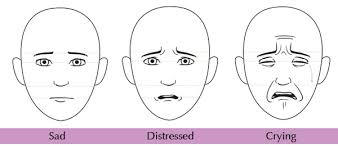 Human Anatomy Fundamentals Mastering Facial Expressions These have an extra meaning though: mastering facial expressions