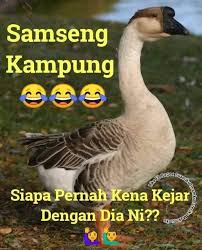 46 minutes ago na'im nikmat @blog. Tak Cukup Tanah Lari Woiii Kredit Lawak Pecah Perut Facebook