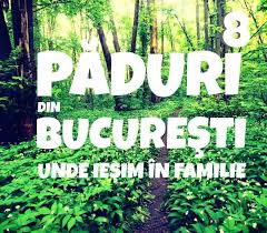 Maybe you would like to learn more about one of these? 8 PÄƒduri In Jurul Bucurestiului Unde Iesim In Familie Zone De Picnic Sau De Plimbare La PÄƒdure