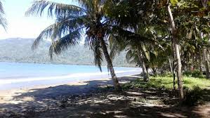 1x1 tabelle bunt zahlenzauber / das kleine einmale. Pantai Karanggongso Htm Rute Foto Ulasan Pengunjung