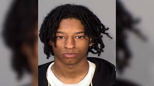 Driver of stolen vehicle arrested after pursuit through north metro