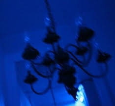 Ultralonely Blue Aesthetic Dark Blue Aesthetic Blue Aesthetic Grunge Find the image to your taste. pinterest