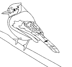 Home browse printables award certificates borders coloring pages paper signs stationery view cart. Tropical Bird Coloring Page Coloringcrew Com