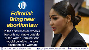 The least Prime Minister Andrew Holness can do is have Parliament, as Lisa  Hanna has called for, debate the 2020 report by its human resource and  social development committee