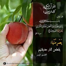 nesma abdelrahman adli kullanicinin مع القرآن panosundaki pin