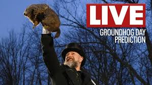🔴Groundhog Day 2025 live: Punxsutawney Phil's prediction and more