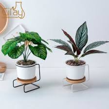 Our home collection features a variety of artisanal products meant to spark joy and make your living space a little cozier. China White Ceramic Round Bowl Planter Pot With Wooden Tray And Metal Stand China Plant Pot And Ceramic Plant Pot Price