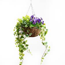 We did not find results for: Primrue Mint Purple Pansy Variegated Ivy Artificial Plant In Round Grapevine Hanging Basket Wayfair
