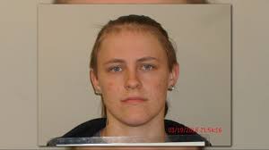 Three arrested after Arcade PD chase stolen FL vehicle