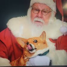 Poppi totally disapproves of her Christmas jammies even though she looks  adorable! I took them right off so she didn't suffer for long! We may just  have to settle for a Christmas