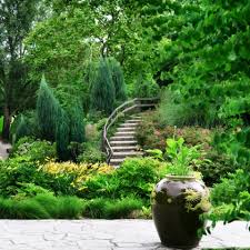 We did not find results for: Gartendesign Natur Pur Baume Und Straucher
