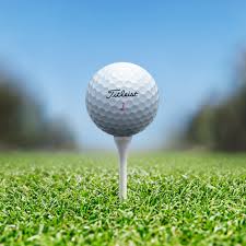Download the complete skin config easily without safelink. Titleist Pro V1 Pink Titleist Golfballe