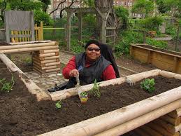 Eileen One Of Our Inaugural Gardeners In The Accessible Garden Raised Garden Beds Sensory Garden Raised Garden