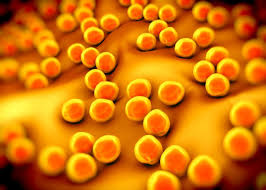 Eine wichtige rolle unter diesen multiresistenten bakterien spielt mrsa. Mrsa Nach Operationen Symptome Und Anzeichen Im Krankenhaus