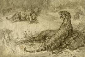 Saber Tooth Cat Facts - Saber Tooth Cat Information