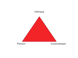 Love Robert J Sternberg The predicted decline over time in passion emerged only for females, and intimacy levels did not generally display the predicted decline for longer relationships. love robert j sternberg