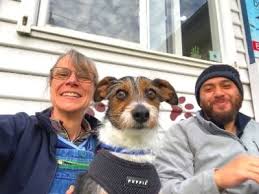 Anesthesia free dog teeth cleaning nyc. Anesthesia Free Dog Teeth Cleaning Melbourne Canine Dental